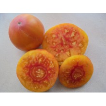 Редкие сорта томатов Розовое Утро